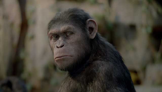 Rise of the Planet of Apes